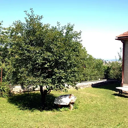 Valley Брашов